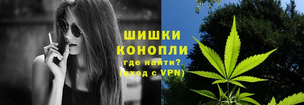 сатива Алзамай