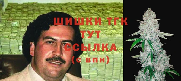 ГАЛЛЮЦИНОГЕННЫЕ ГРИБЫ Абаза