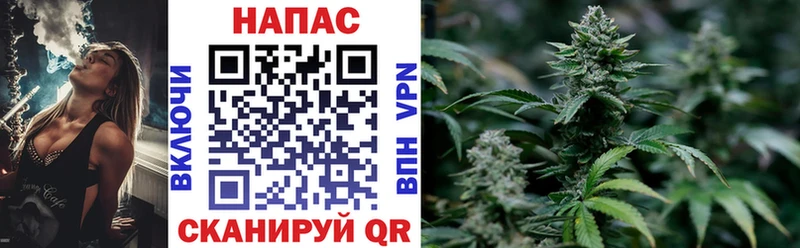 Шишки марихуана Ganja  кракен ССЫЛКА  Покачи 